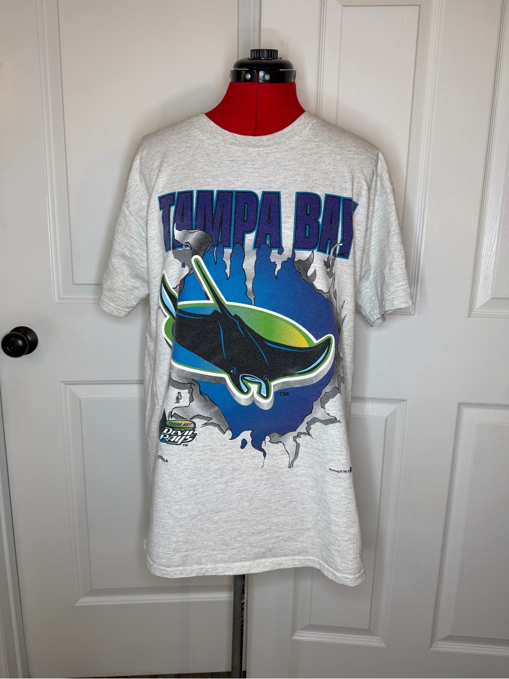 Vtg 1995 Nutmeg Mills Tampa Bay Devil Rays Breakthrough T Shirt Mens L